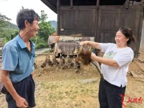辰溪县“阳光增收”培训助力残疾人家庭见实效
