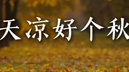 明明想写愁，却只能说“天凉好个秋”|一千零一页（12）
