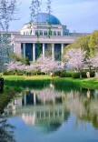 芙蓉国评论丨“984.5”高校升温，动了谁的奶酪？