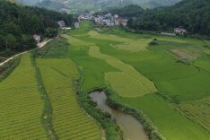 绥宁县：机抛机收齐上阵 跑出现代农业“加速度”