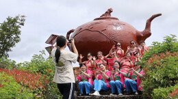 桂东清泉镇：万亩茶海叠翠 茶旅融合正酣