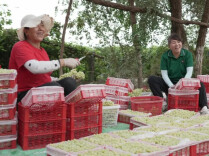 湖南省总工会融媒体中心直播团队走进吐鲁番——工会直播赋能火洲特色“出圈”