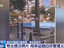老人小区内遛弯被大王椰叶片砸成十级伤残 物业要担责吗？
