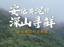 懂湘寻鲜｜吴奶奶85岁生日，庆哥特意赶去安化黄泥村送长寿面收山货