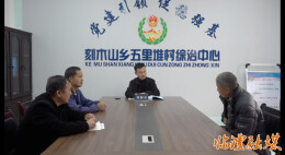 “小网格”撬动“大治理” 临澧县构建党建引领基层治理新格局