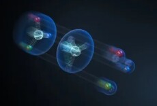 粒子物理领域重大发现！科学家观测到一种奇特结构，或颠覆认知