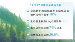 《生态保护“十五五”规划》印发  构建从山顶到海洋的保护治理大格局