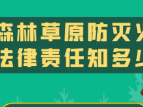 获刑2年，赔偿46万元！因为干了这件事→