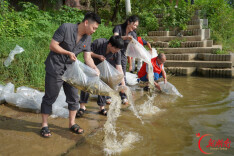 以法护碧水 增殖补生态！邵东法院联动多部门开展生态修复增殖放流活动