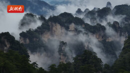 移步换景，变幻万千！夏日武陵源云海仙境持续上线