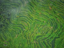 活力中国调研行｜紫鹊界：水在流，人归来，山有回音