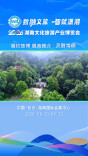 湘约旅博 展商推介 | 灵醒常德
