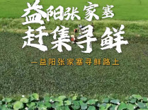 懂湘寻鲜｜庆哥到张家塞收菱米，遇91岁谢奶奶：日赚60+，是她的手艺，也是她的骄傲