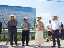 从贱卖到抢购，湖南大豆为何火了