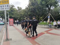 停车有位、求助有门！桂东警务擦亮“中国氧都”平安名片
