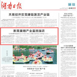 全链布局 科技赋能 联农带农 新晃黄精“链”出富民产业