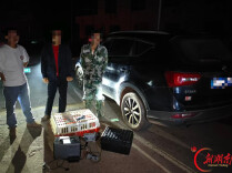 空中无人机锁定，地面驾车捡拾！3人“降维打击”式非法狩猎获刑
