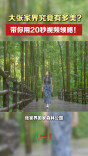 大张家界究竟有多美？带你用20秒视频领略！