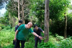 林间勘验查实情，当场调解促履行