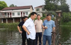 西湖管理区推进河湖管理工作