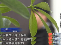 为了骗你的385元“保险费”，他们居然真给你找了份工作