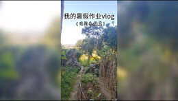 我的暑假作业Vlog丨江永县第三中学周怡娜：田间采摘，体验“收获之美”