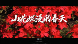 “新境界——文艺与青年”第三届网络文艺短视频展播 | 《山花烂漫的春天》
