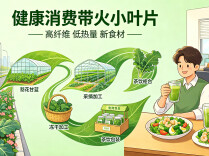 从观赏植物到健康新宠——羽衣甘蓝需求热短板多