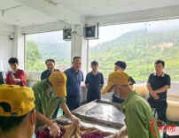 新化县人大常委会领导到圳上镇调研