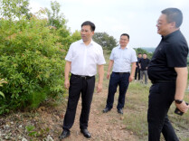 石门：李长春督导河湖长制、林长制工作