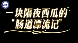 一块隔夜西瓜的“肠道漂流记”