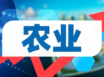 涉农股票迎行情，转型向新稳根基