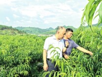 金融惠三湘 光大启新章——光大银行长沙分行深耕湖湘金融纪实