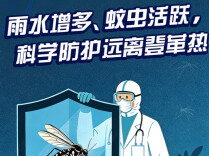 【图解】雨水增多、蚊虫活跃，科学防护远离登革热
