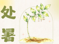 药食同源·处暑|秋燥来袭，试试《神农本草经》里的“润燥高手”