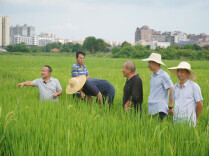 植保员奋战一线守护120万亩粮食—— 田间“赤脚医生”，被农民称作“教授”
