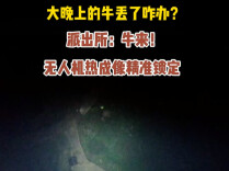大晚上牛丢了咋办？派出所：牛来！无人机热成像精准锁定