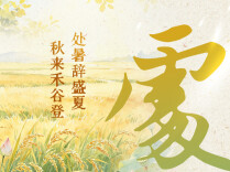 海报丨处暑辞盛夏 秋来禾谷登