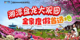千亩花海四季绽放 盘龙大观园“香”约旅博会