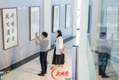 新展丨怎么写好书法？来看看教了40多年的书法家的展览
