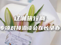 辽湘旅行商专项对接洽谈会在长举办