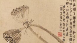处暑读画：记与那人同坐，纤手剥莲蓬