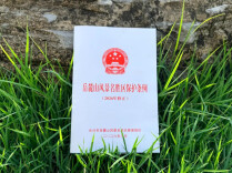 禁止野爬、违规骑行！擅自商拍、摆摊且拒不改正的最高罚5000元，长沙岳麓山风景名胜区新规落地