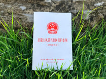 长沙岳麓山风景名胜区新规：禁止野爬、违规骑行！擅自商拍、摆摊且拒不改正的最高罚5000元