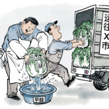 漫评 | 莫让“甲醛白菜”侵蚀餐桌安全