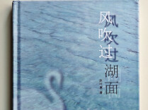 风拂湖面 心波荡漾丨湘江副刊·悦读