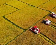 数名中国公民因未按要求申报携带的大额现金，被沙特有关部门拘押，中使馆发布重要提醒