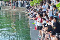 抓住暑假“小尾巴”，夏末西湖迎来亲子游热潮
