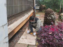 覆盖51个小区！常德城区房屋完成白蚁防治“体检”