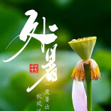 处暑至：清余暑 防秋燥 养生12字诀